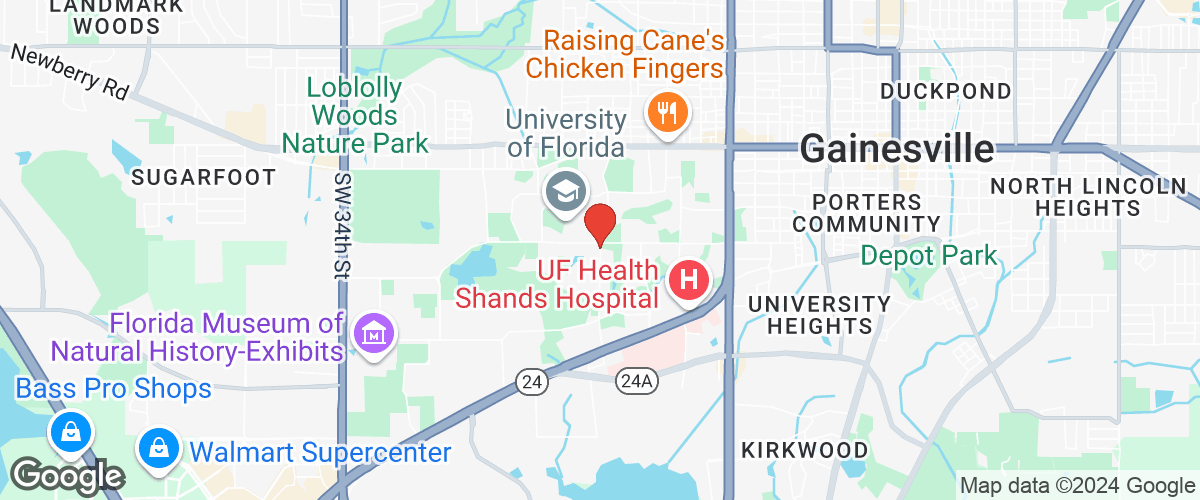 Mapa de Google
